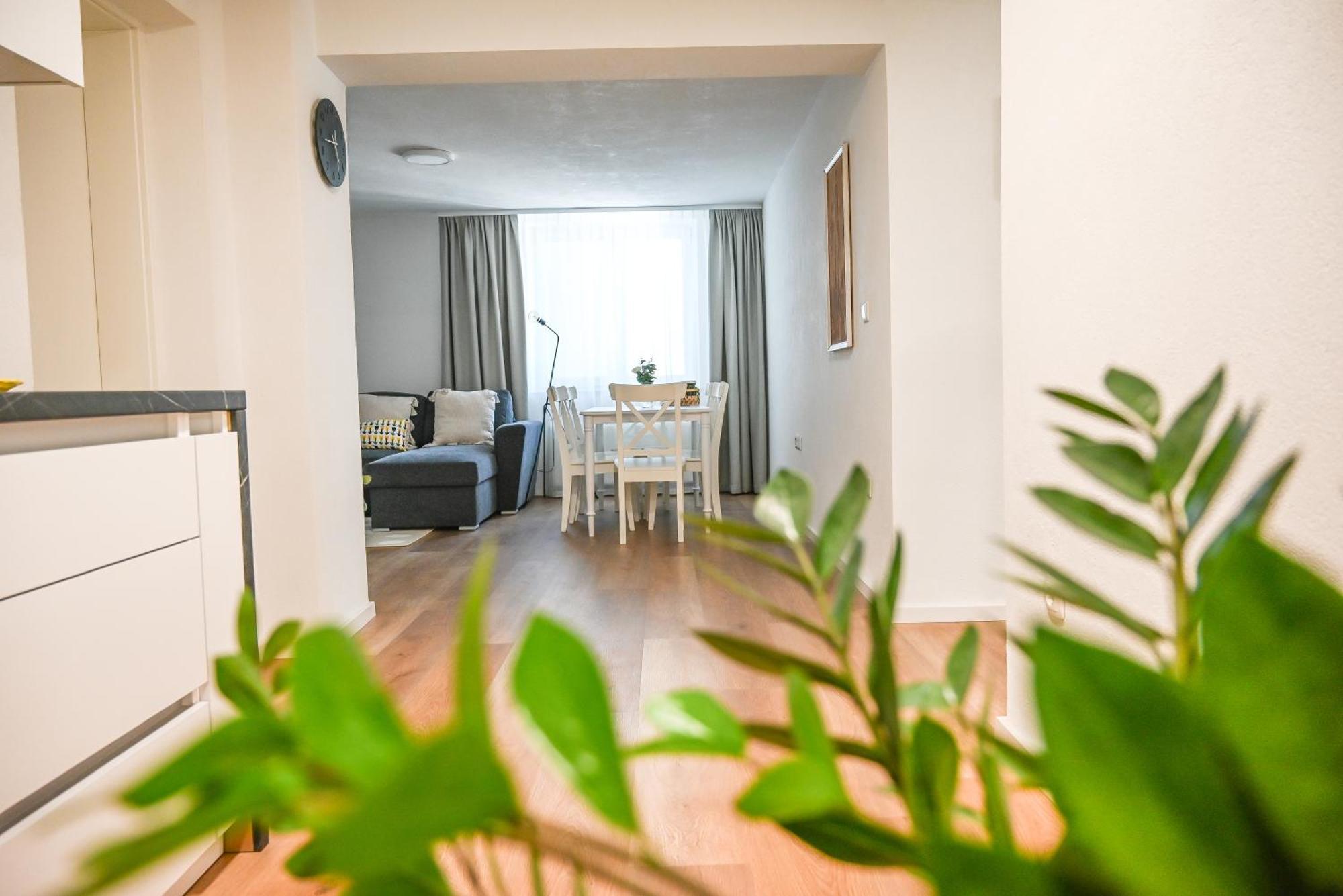 Apartma Cave Bliss 马里博尔 外观 照片